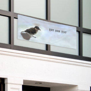 Lona Tidi my Bird the Parus Major
