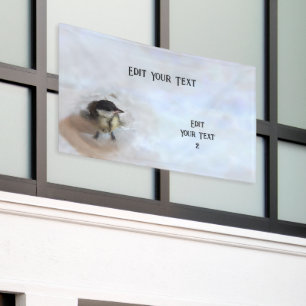 Lona Tidi my Bird the Parus Major
