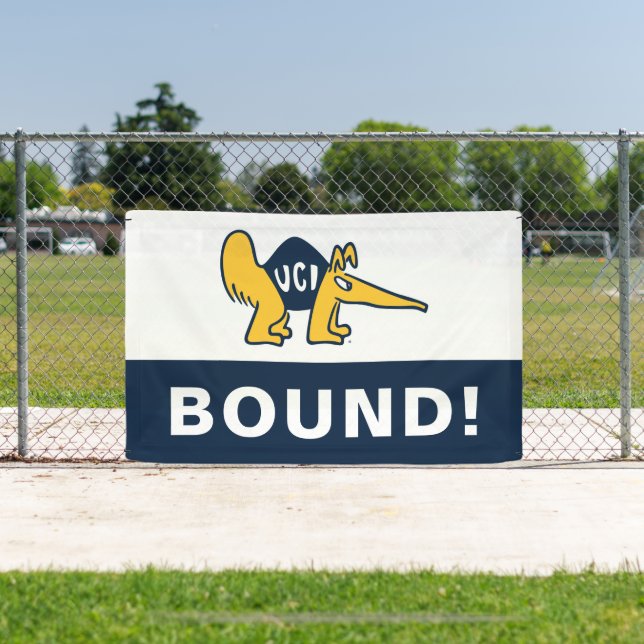 Lona UC Irvine | UCI Anteatros (in situ)