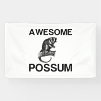 UN ASOMBROSO POSSUM......