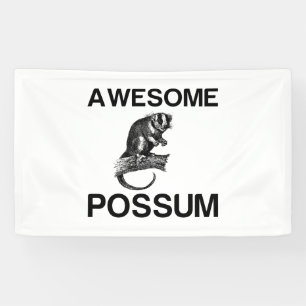 LONA UN ASOMBROSO POSSUM......
