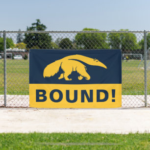 Lona Universidad de California, Irvine Anteater