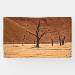 Lona Vlei muerto, Namibia
