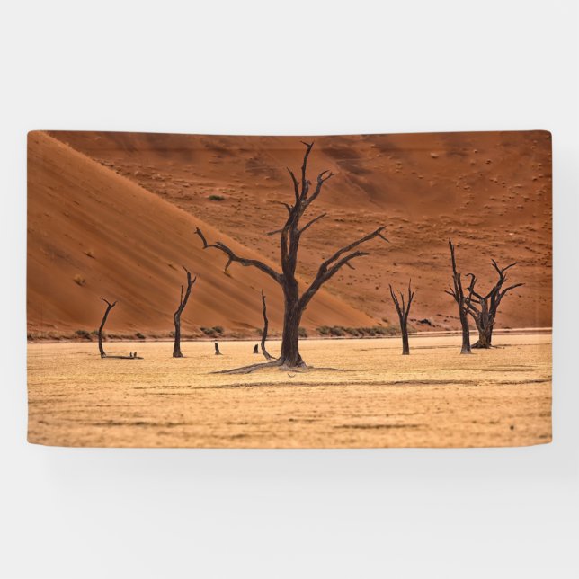 Lona Vlei muerto, Namibia (Horizontal)