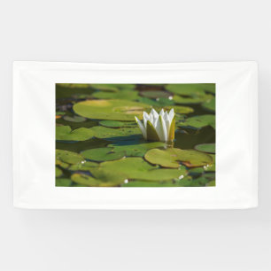 Lona Water Lily Blossom