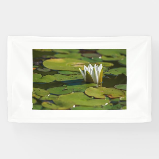 Lona Water Lily Blossom (Horizontal)
