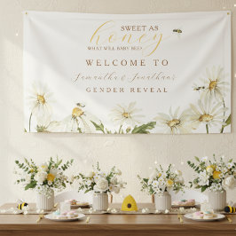 Lona What Will Baby Be Gender Reveal Banner