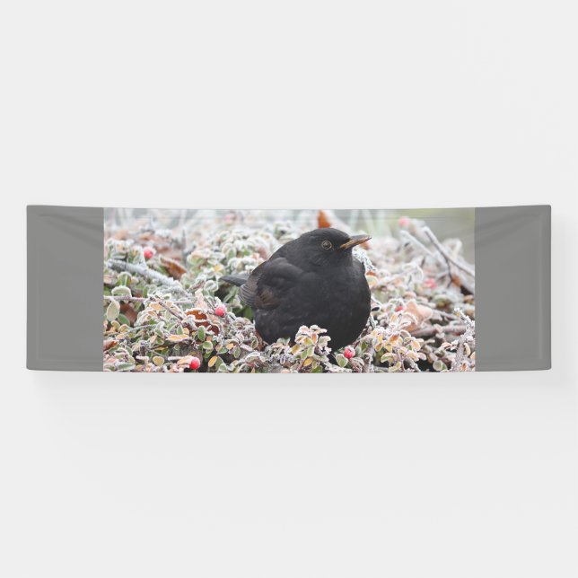 Lona Winter Blackbird (Horizontal)