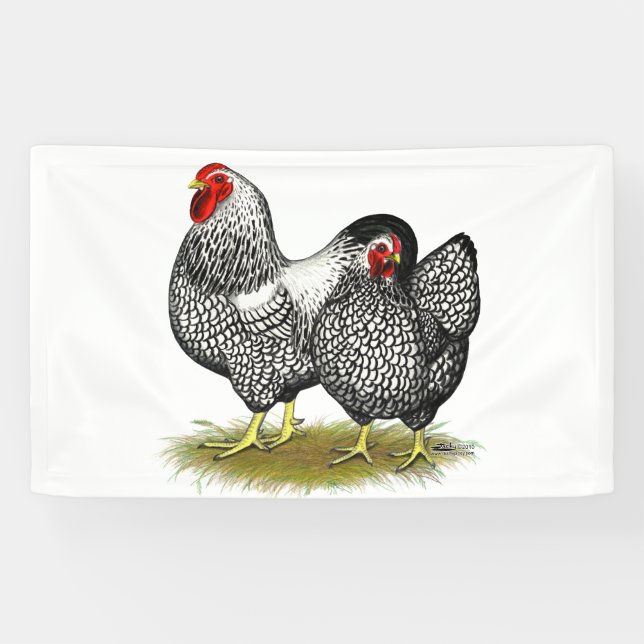 Lona Wyandotte: Par Plateado (Horizontal)