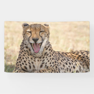 Lona Yawning Cheetah