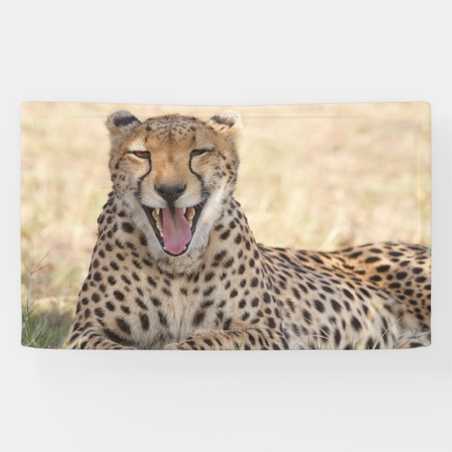 Lona Yawning Cheetah (Horizontal)