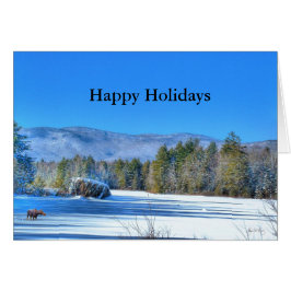 Lone Moose on Robartwood Pond - Holiday Card