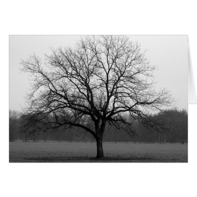 Lone Oak (Anverso (Horizontal))