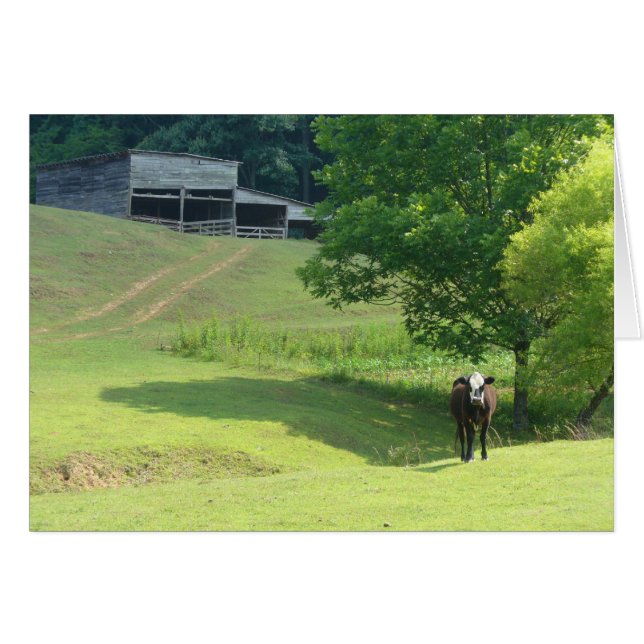 Lonely Calf (Anverso (Horizontal))