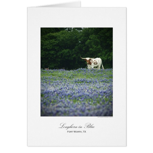 Longhorn azul (Frente)