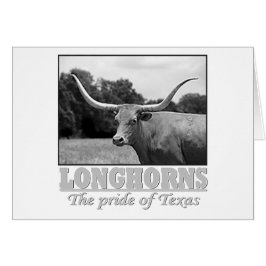 longhorn_orgullo