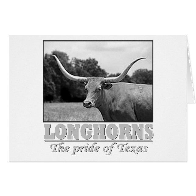 longhorn_orgullo (Anverso (Horizontal))