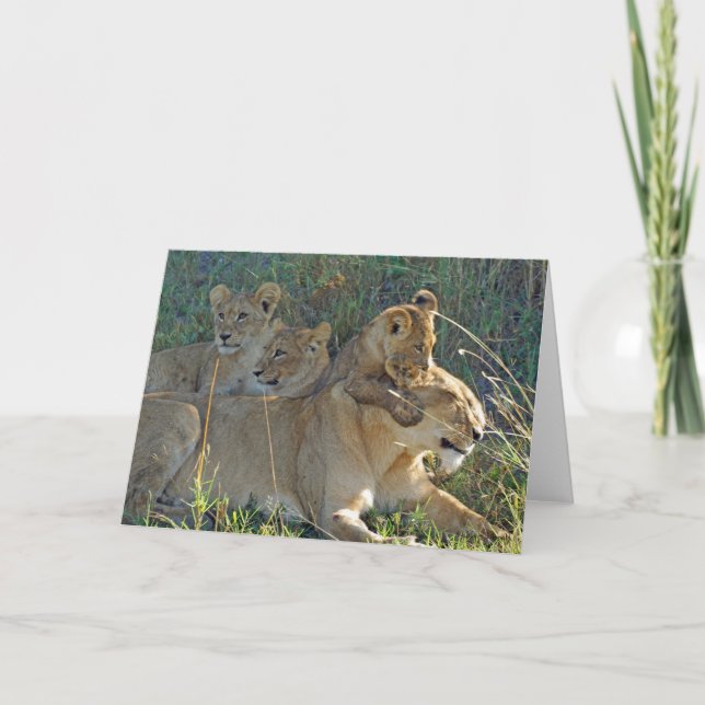 LONGITUD CON TRES CUBS tarjeta de saludo (Anverso)