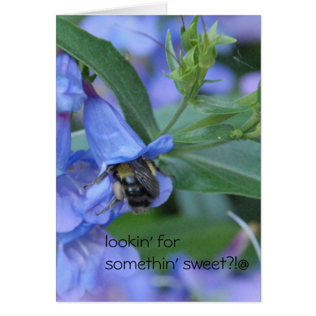 ¿lookin para algo dulce?? (Frente)