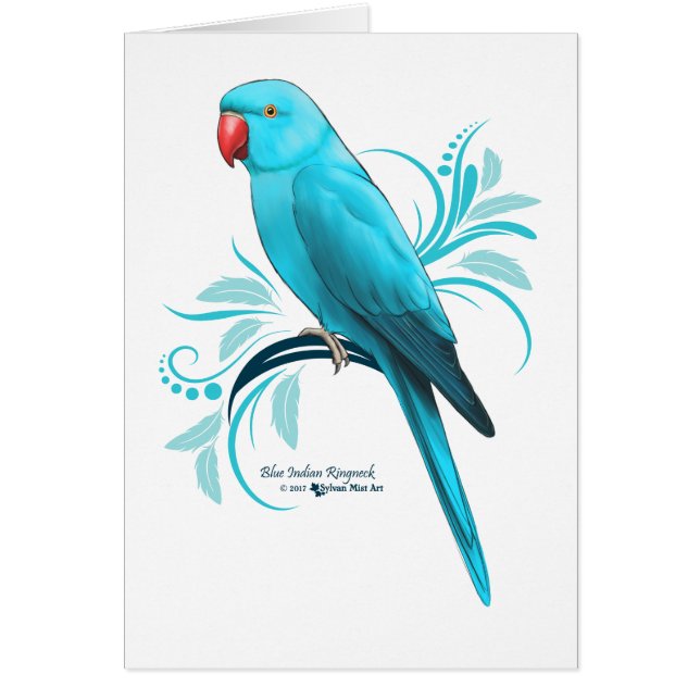 Loro azul de Ringneck del indio (Frente)