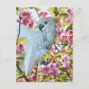 Loro blanco en la postal del árbol de manzanas can