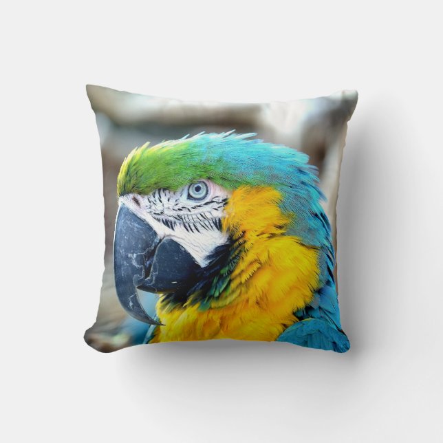 Loro colorido - almohada (Anverso)