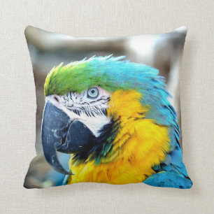 Loro colorido - almohada