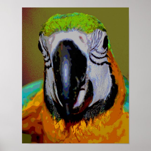 Loro De Macao Azul Y Oro Cara Resumen De Arte (Frente)
