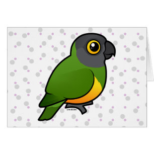 Loro de Senegal