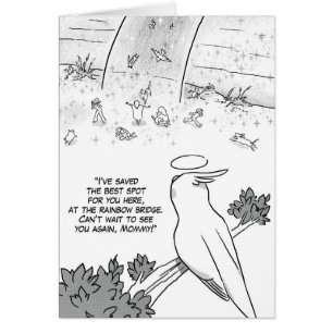 Loro del cockatiel del puente del arco iris