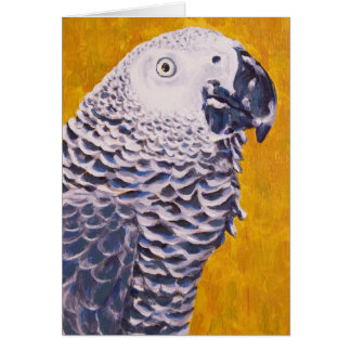 Loro del gris africano