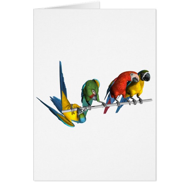 Loro del Macaw (Frente)