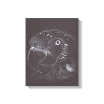 Loro - Dibujo original - Imprimir lienzo