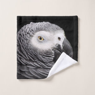 Loro gris africano