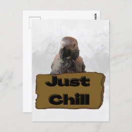 Loro gris africano, postal