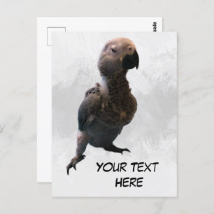 Loro gris africano, postal