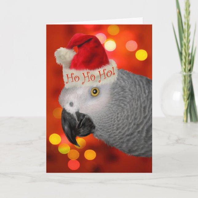 Loro gris navidad (Anverso)