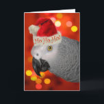 Loro gris navidad<br><div class="desc">Tarjeta de Navidades divertidos para el amante del loro con un fondo de bokeh rojo festivo y multicolor y un adorable loro gris africano con un sombrero de Santa.</div>