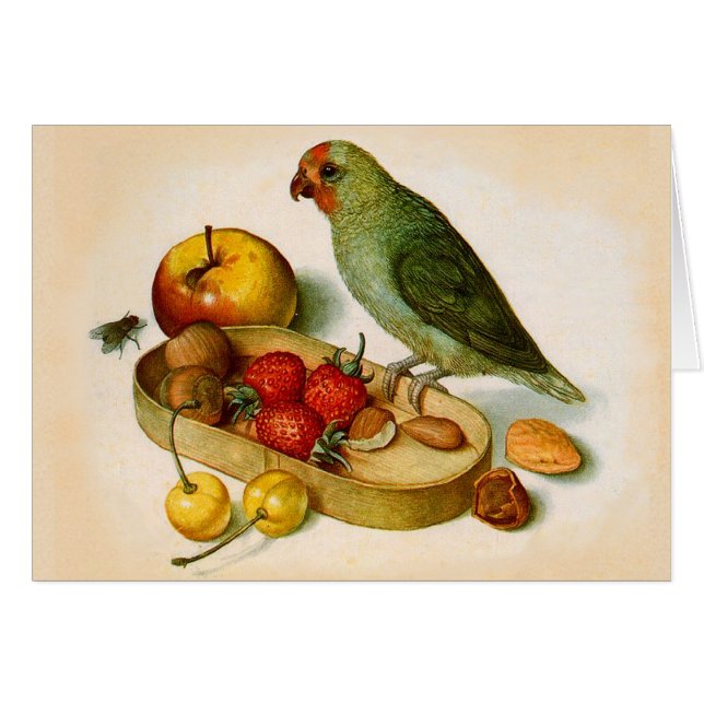 Loro pigmeo con frutas y nueces (Anverso (Horizontal))
