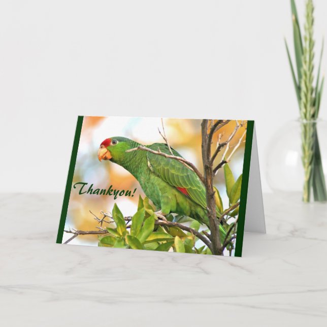 ¡Loro salvaje gracias! Tarjeta (Anverso)