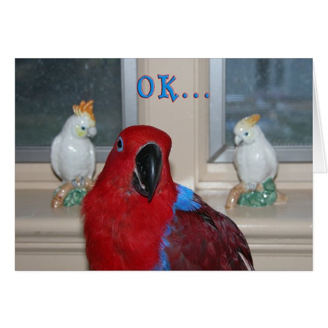 Loro temático (Anverso (Horizontal))