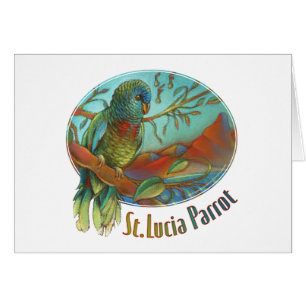 Loro tropical de St Lucia