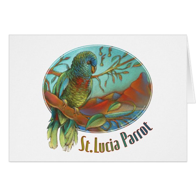 Loro tropical de St Lucia (Anverso (Horizontal))