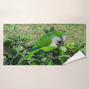 Loro verde