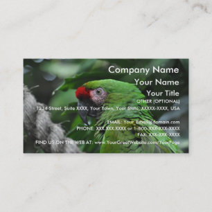 Loro verde - plantilla de la tarjeta de visita