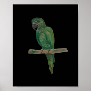 Loro Verde Vibrante – Arte en Acuarela Pintado a M