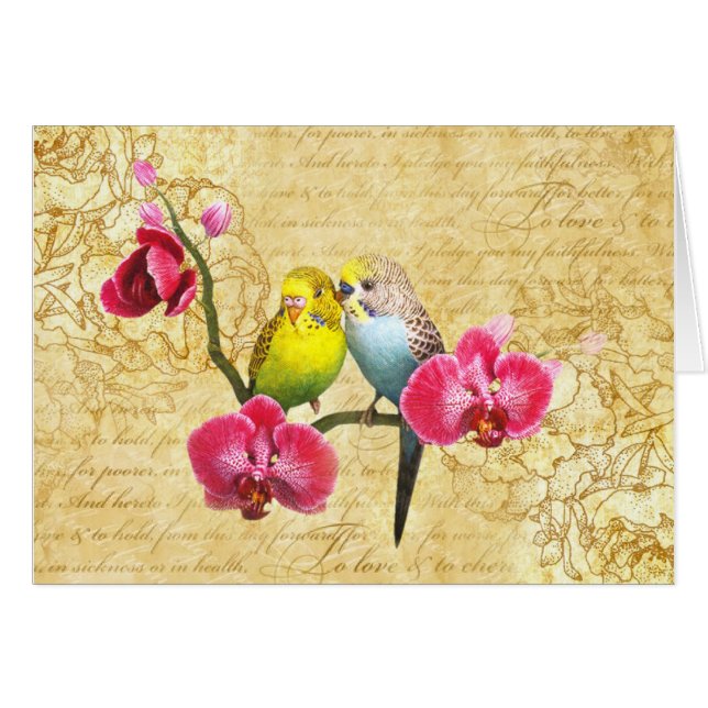 loros a orquídeas (Anverso (Horizontal))