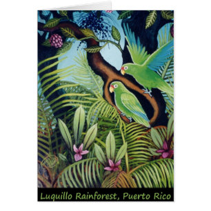 Loros de Luquillo