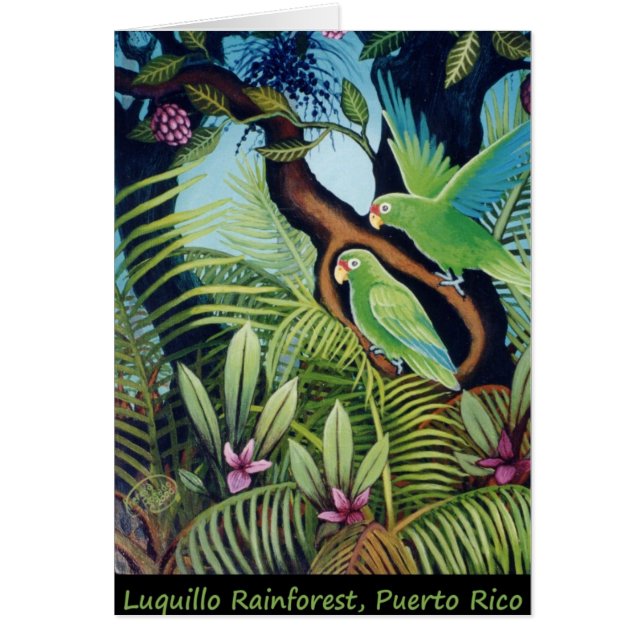 Loros de Luquillo (Frente)