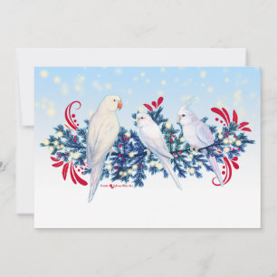 Loros de Navidad Blancos
